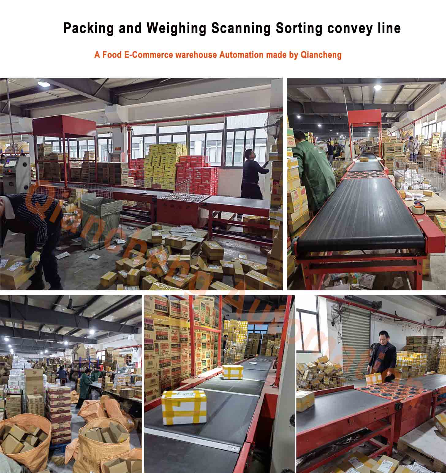 Ruosang packing sorting line.jpg